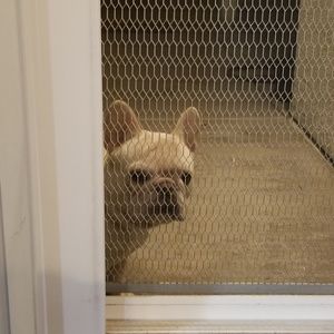 Meet your Posher, Kellie